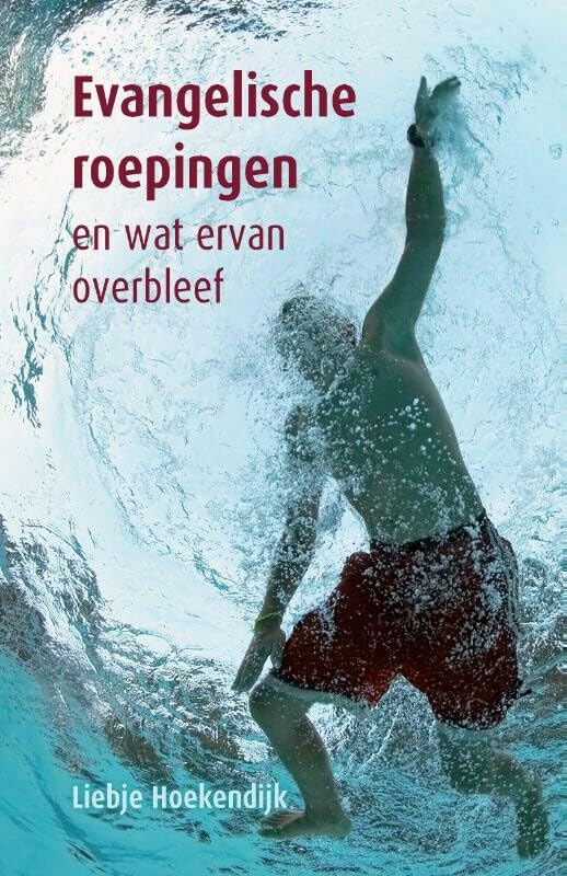Evangelische roepingen: en wat er van overbleef book