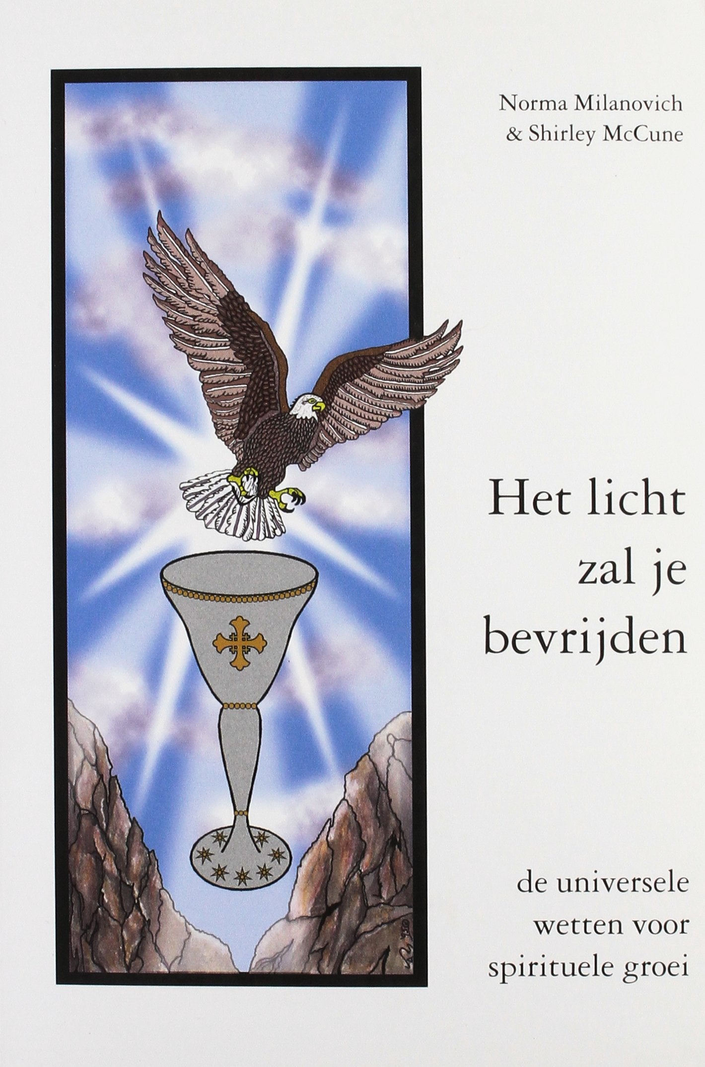 Het licht zal je bevrijden: de universele wetten voor spirituele groei book