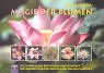 Magie der Blumen: Die Symbolische Bedeutung und die Kraft der Blumen und ihr Einfluss auf das Alltagsleben Garden & Plants