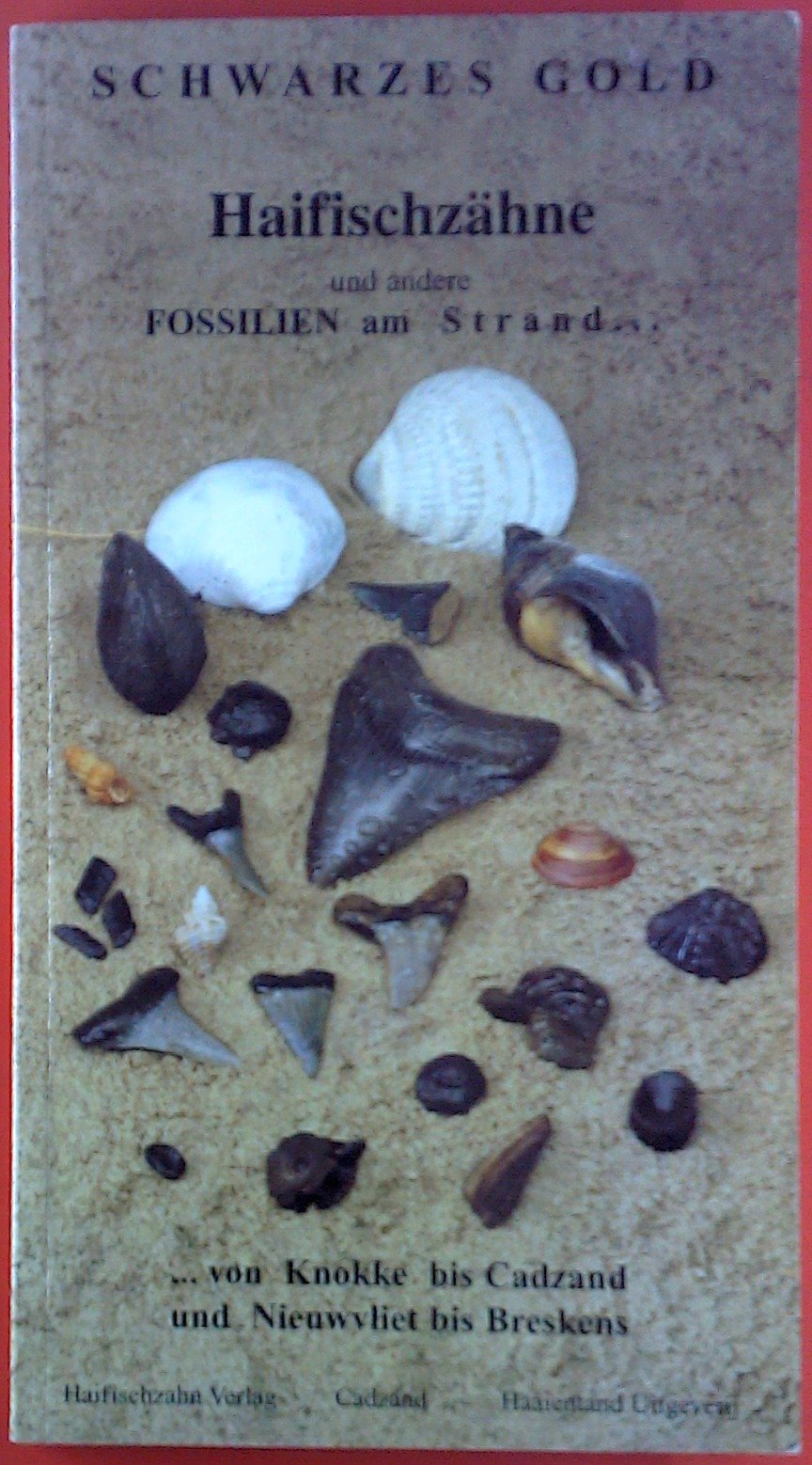Schwarzes Gold - Haifischzähne und andere Fossilien am Strand ... Books