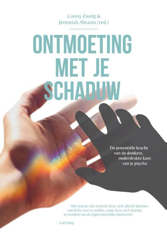 Ontmoeting met je schaduw: de kracht van de donkere, onderdrukte kanten van je persoon book