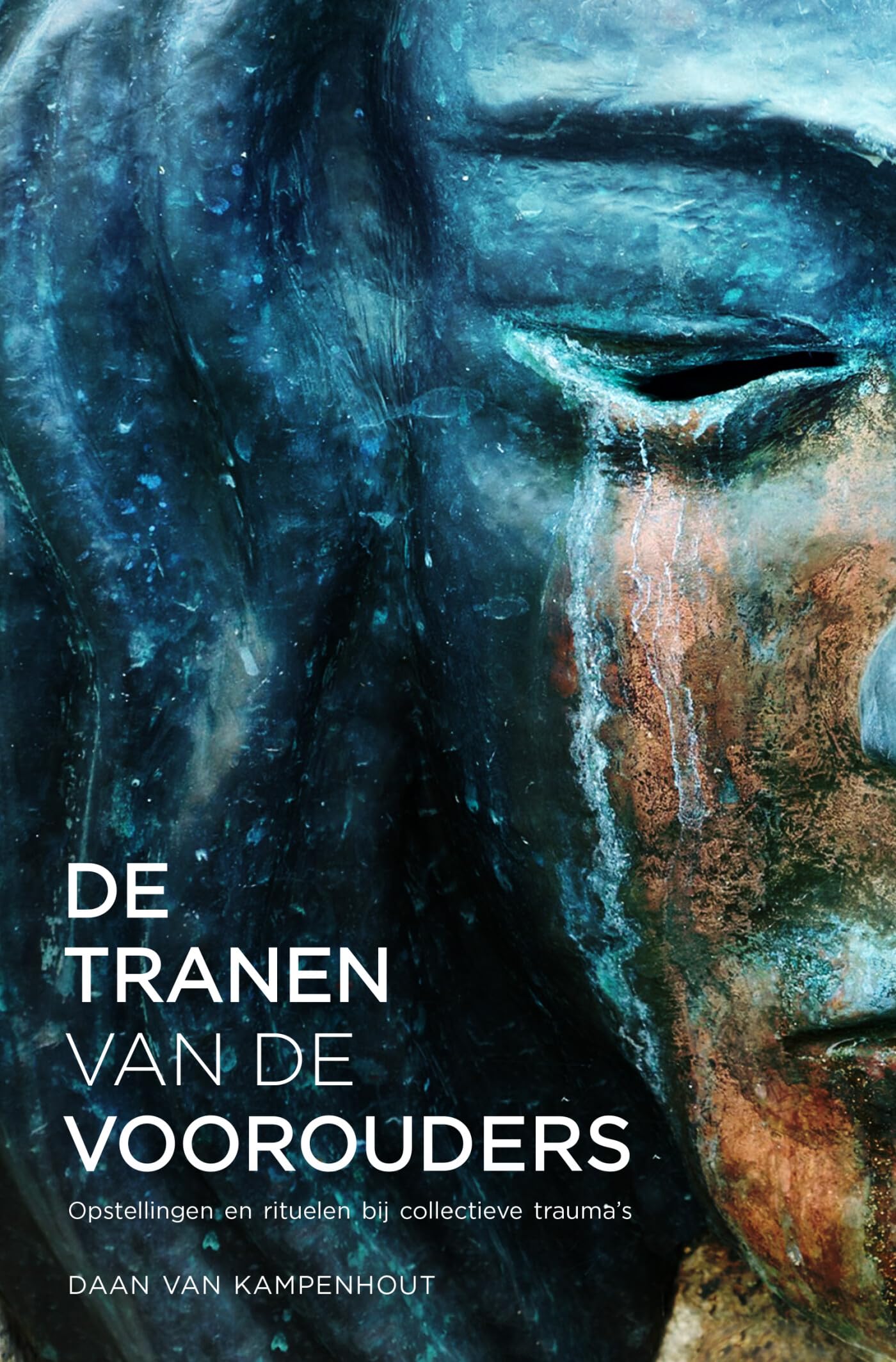 De tranen van de voorouders: opstellingen en rituelen bij collectieve trauma's book