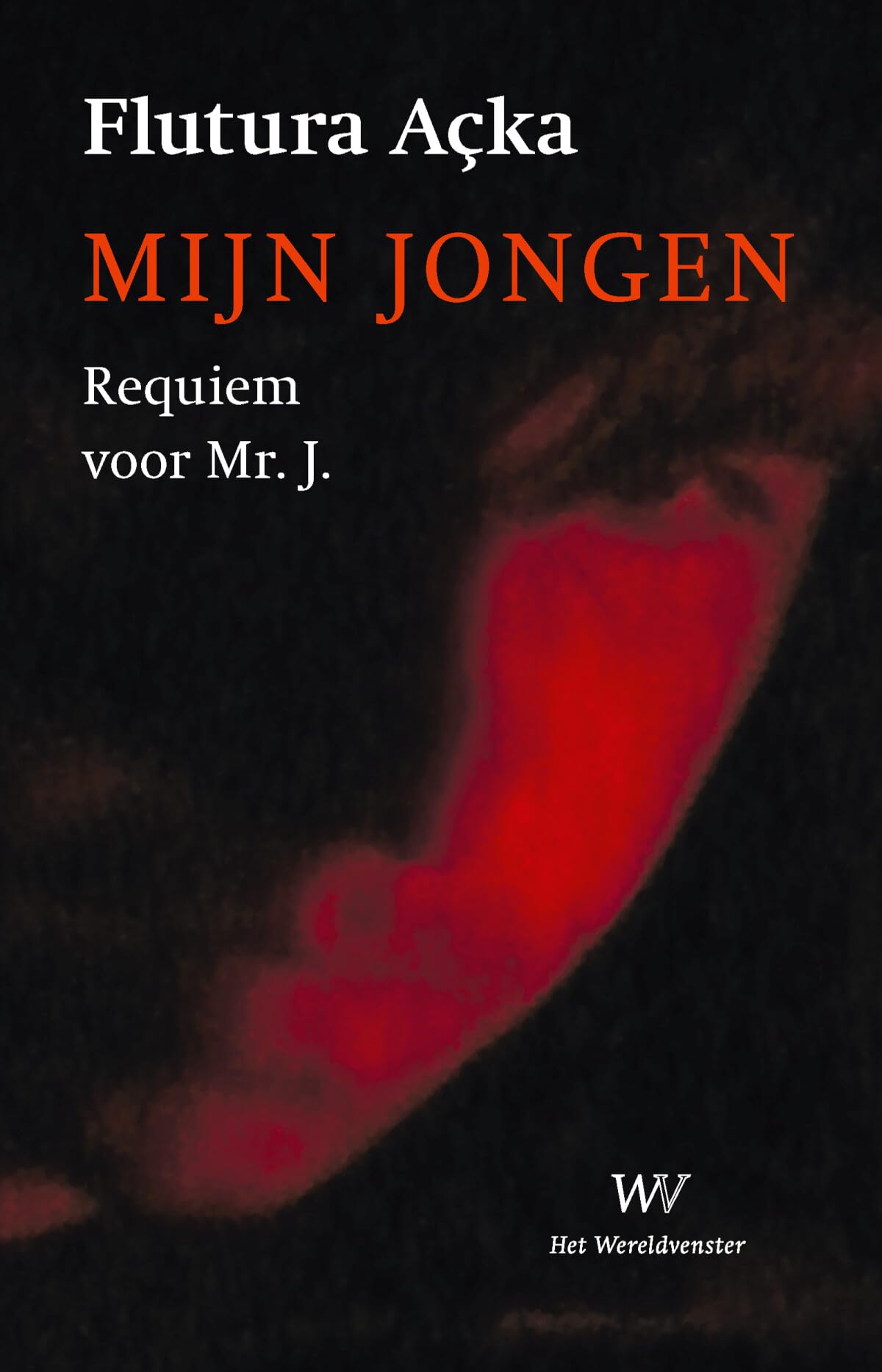 Mijn jongen: requiem voor Mr. J. book
