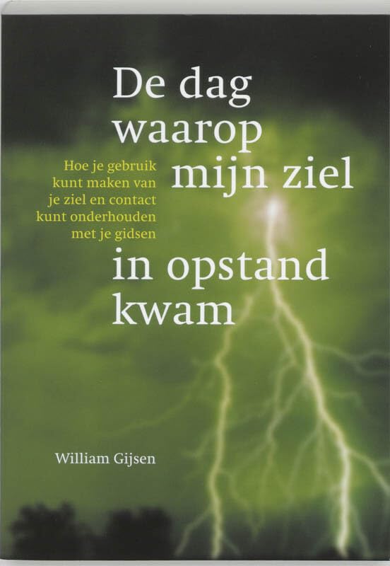 De dag waarop mijn ziel in opstand kwam: hoe je gebruik kunt maken van je ziel en contact kunt onderhouden met je gidsen book