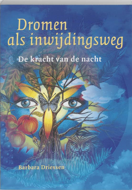 Dromen als inwijdingsweg: de kracht van de nacht book