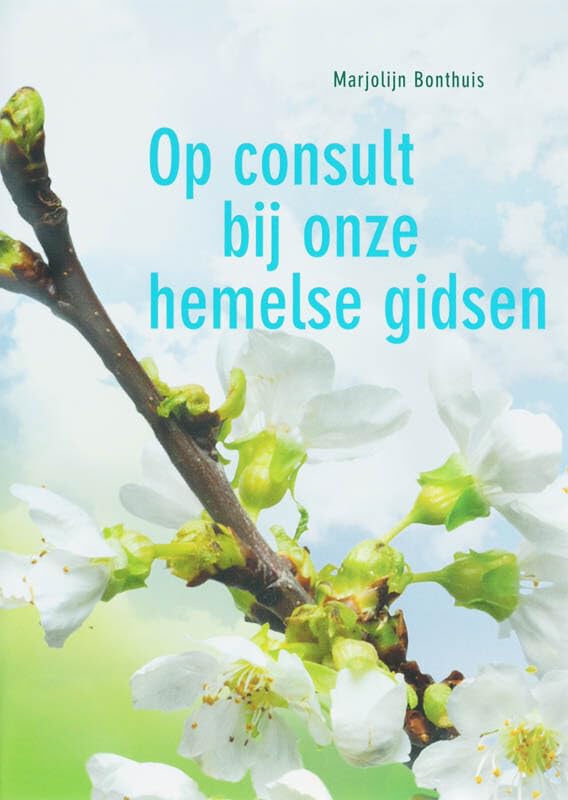 Op consult bij onze hemelse gidsen book