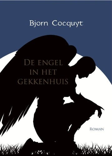 De engel in het gekkenhuis: roman Contemporary literature