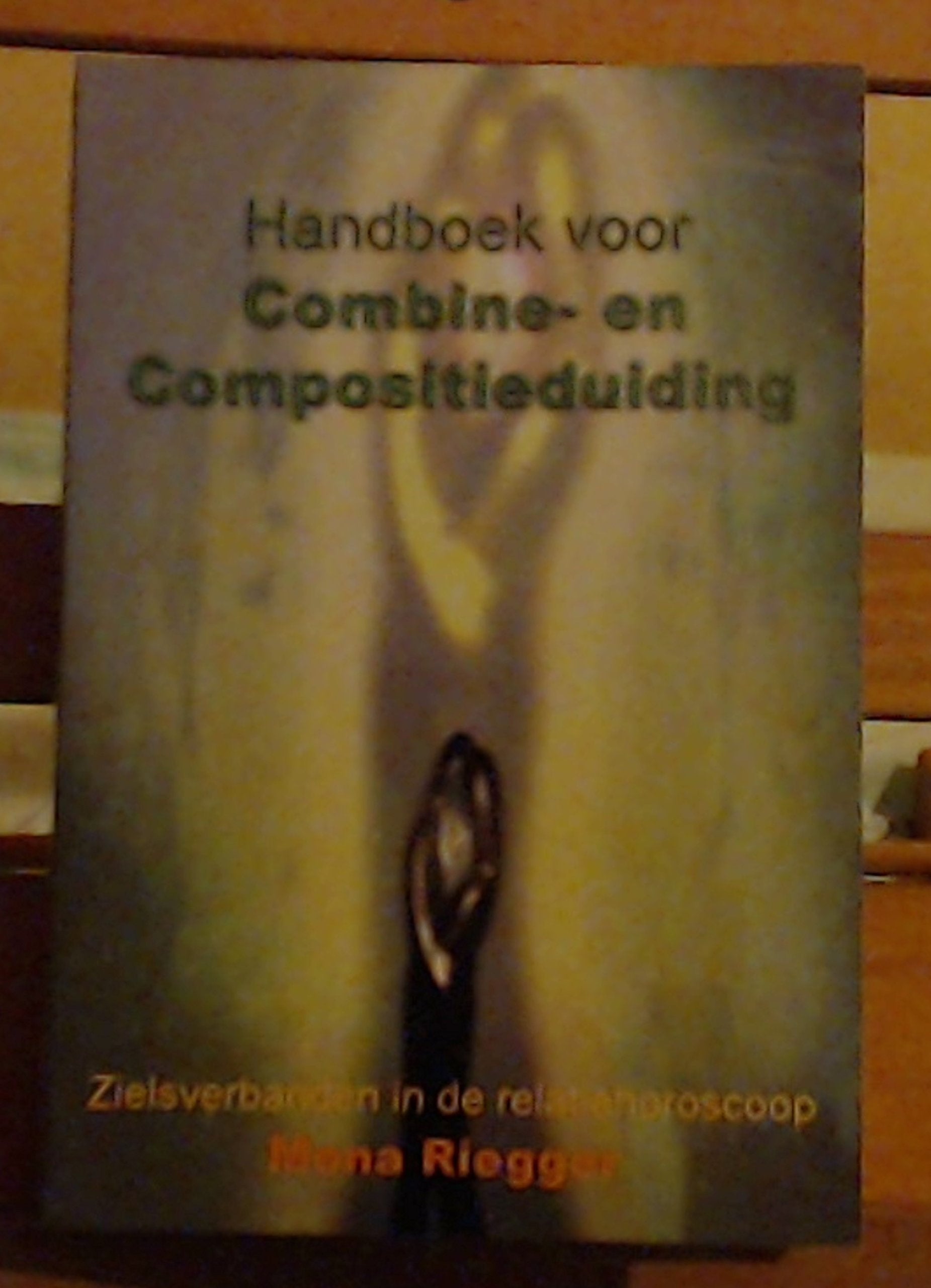 Handboek voor combine- en compositieduiding: zielsverbanden in de relatiehoroscoop book
