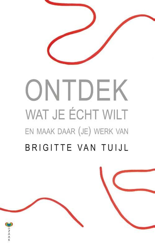 Ontdek wat je écht wilt en maak daar (je) werk van book