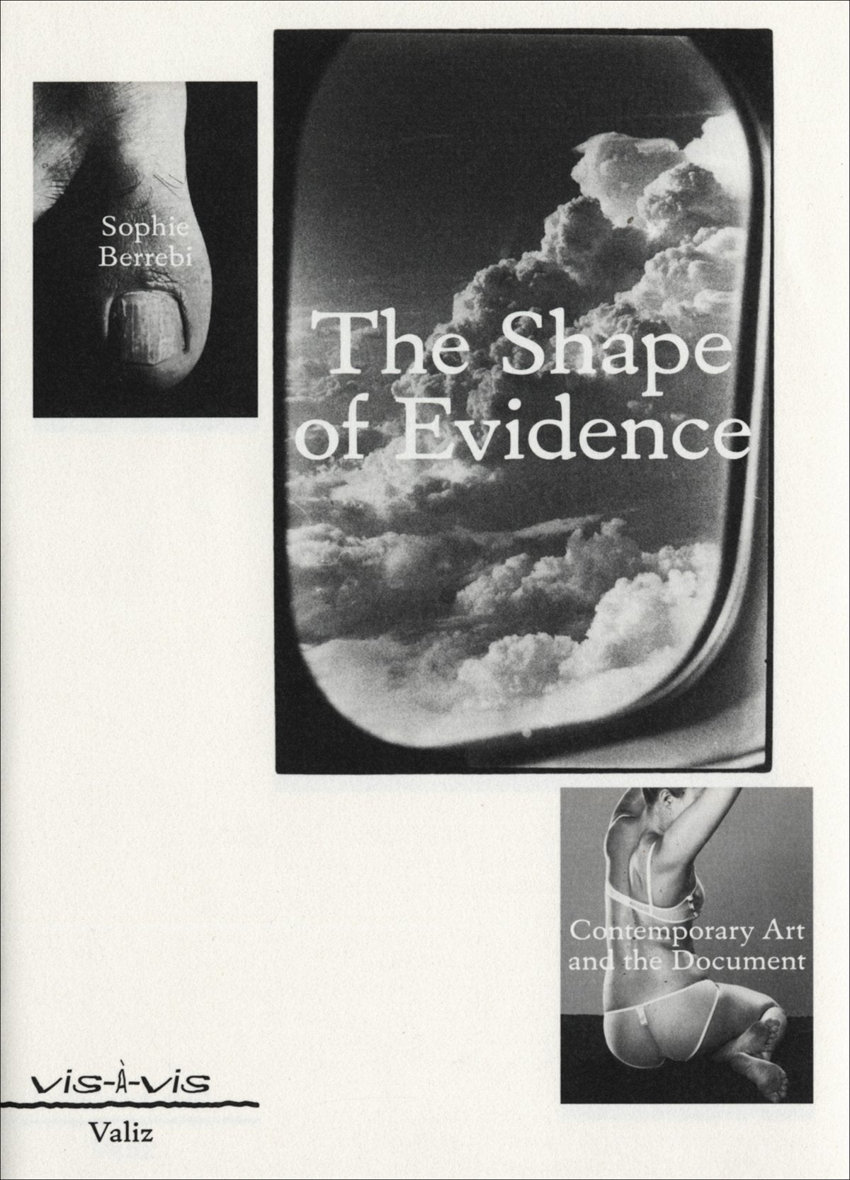 The Shape of Evidence: Contemporary Art and the Document book