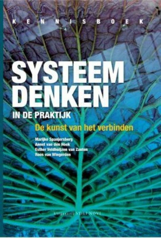 Systeem denken in de praktijk: de kunst van het verbinden book