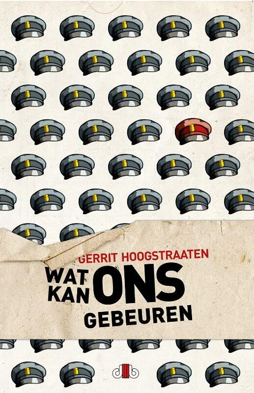 Wat kan ons gebeuren: roman book