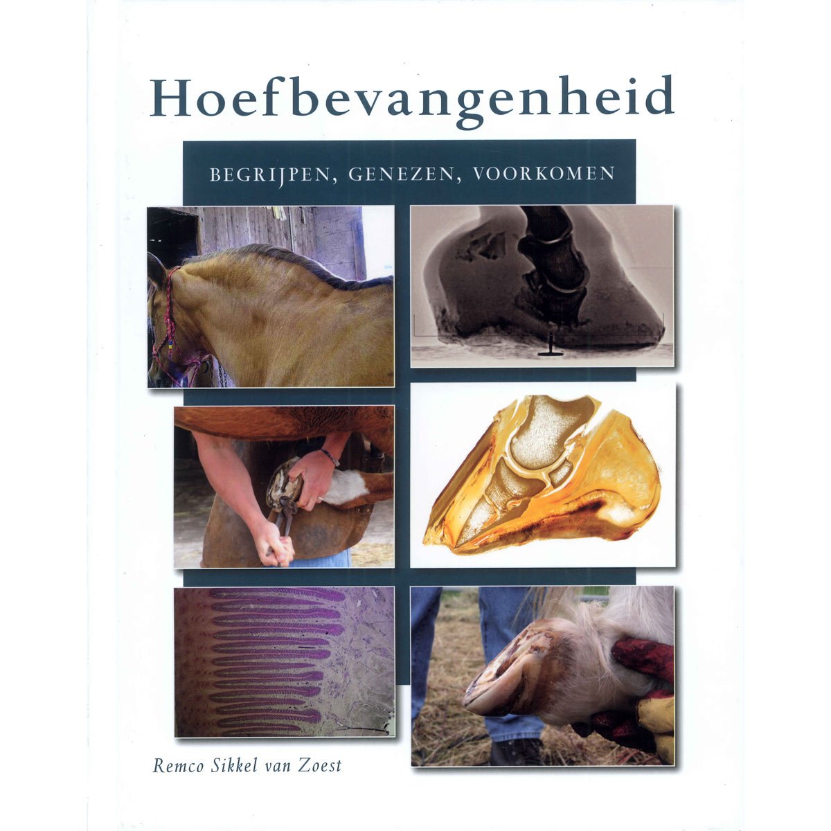 Hoefbevangenheid: begrijpen, genezen, voorkomen book