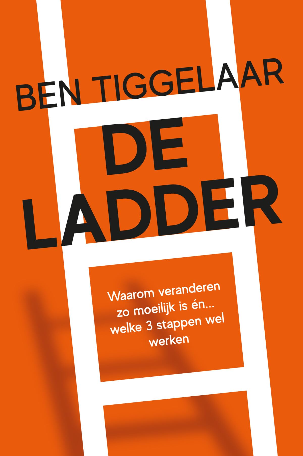De ladder: waarom veranderen zo moeilijk is én... welke 3 stappen wel werken Business, Finance & Career