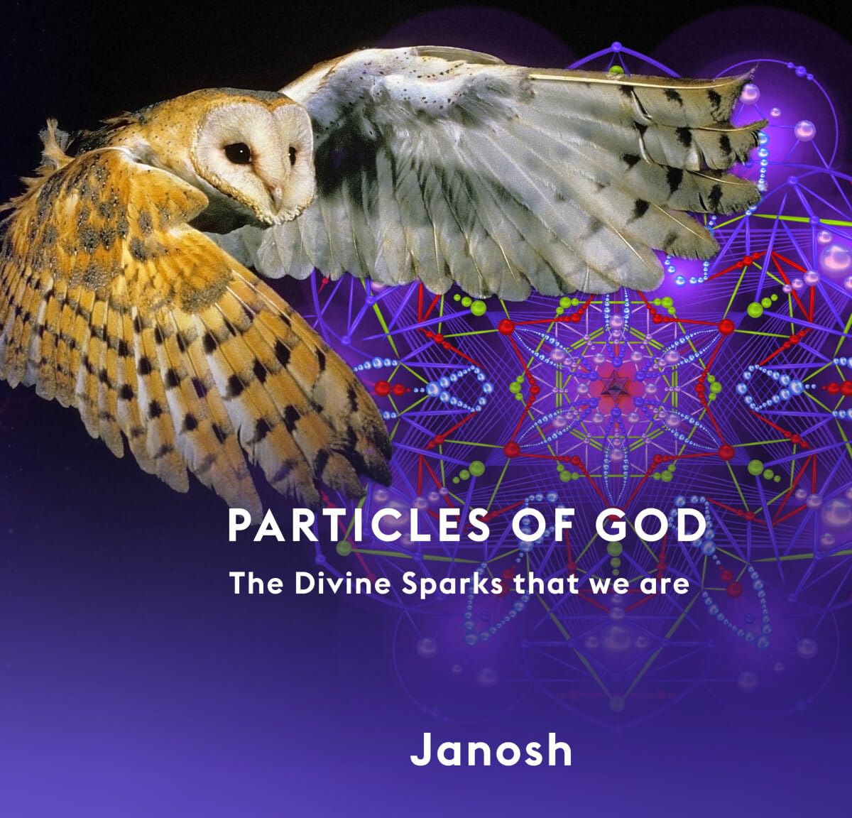 Particles of God: The Divine Sparks that we are book