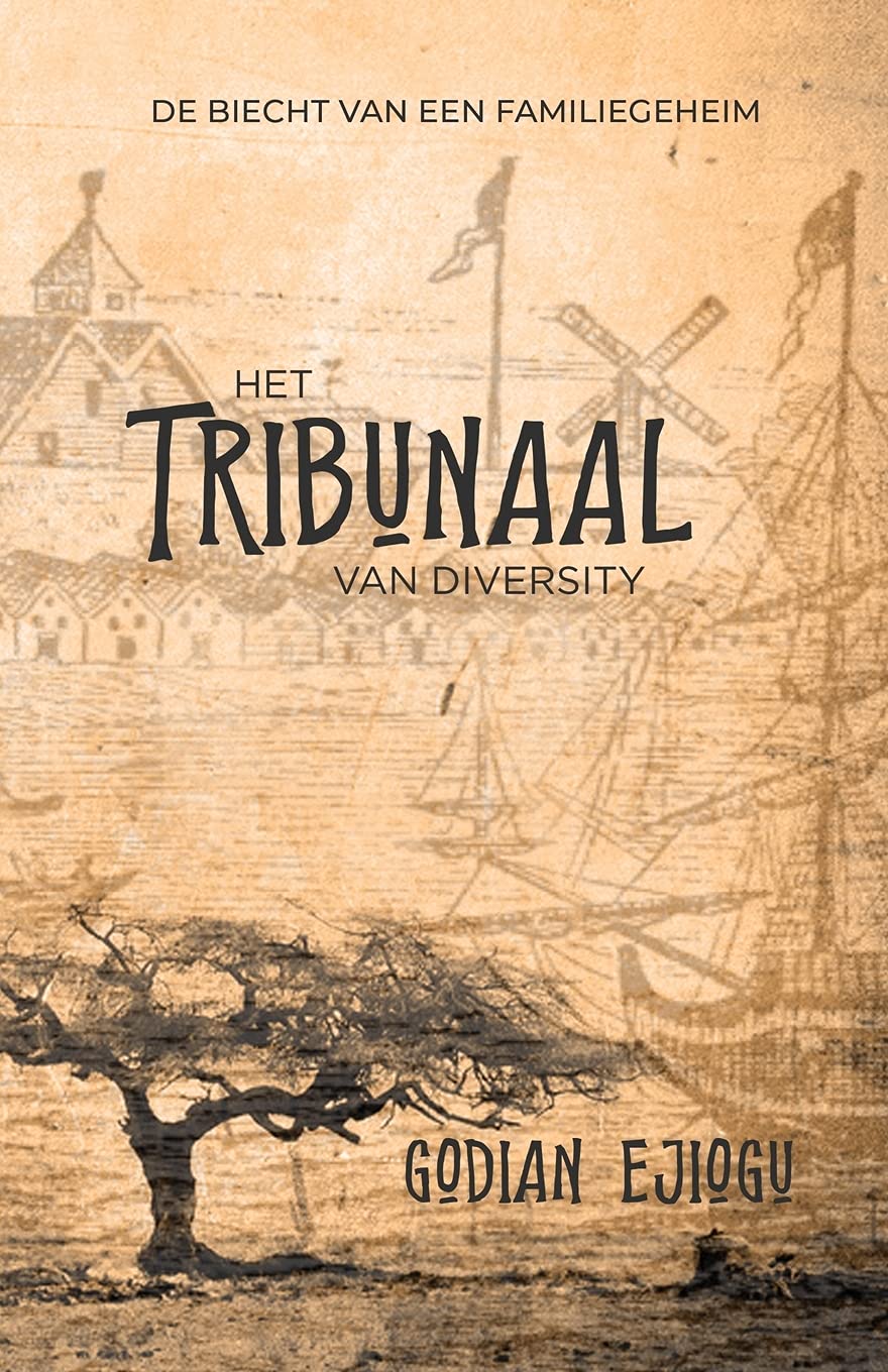 Het tribunaal van diversity: de biecht van een familiegeheim book