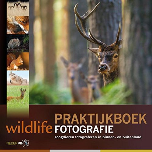 Praktijkboek wildlife fotografie: zoogdieren fotograferen in binnen- en buitenland book