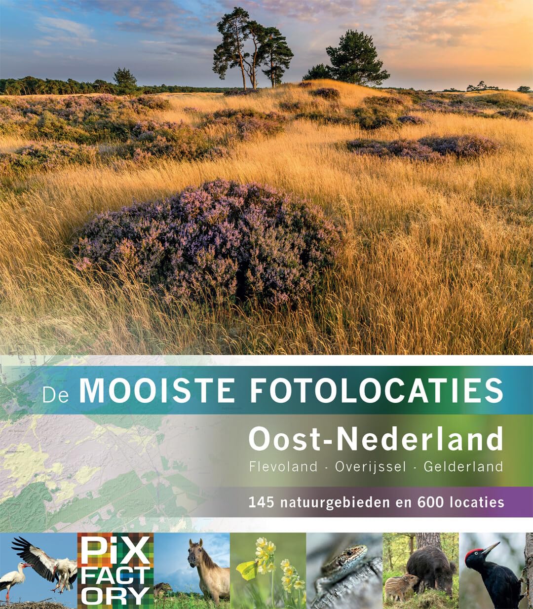 Oost-Nederland: Flevoland, Overijssel, Gelderland : 145 natuurgebieden en 600 locaties (De mooiste fotolocaties, 2) Mathematics