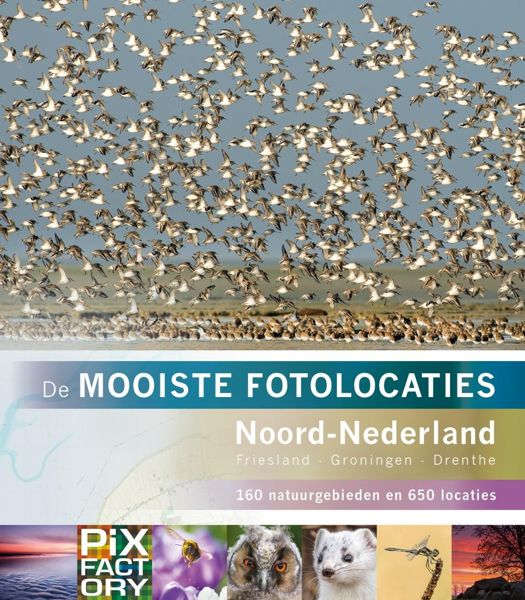 Noord-Nederland: 150 Natuurgebieden en 600 locaties (De mooiste fotolocaties, 4) Mathematics