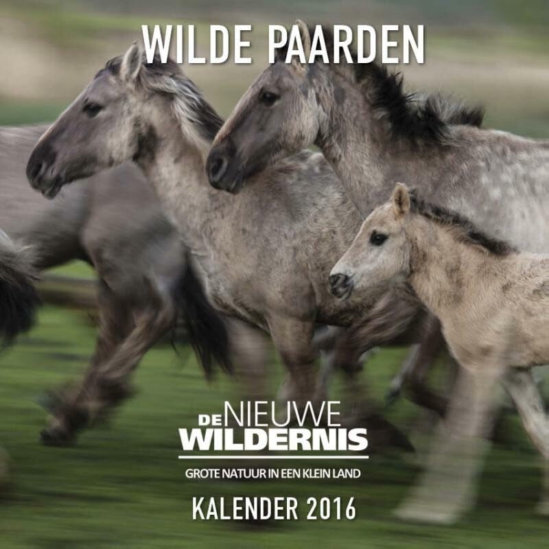 2016 (Wilde Paarden kalender: de nieuwe wildernis) Leisure, Home & Garden