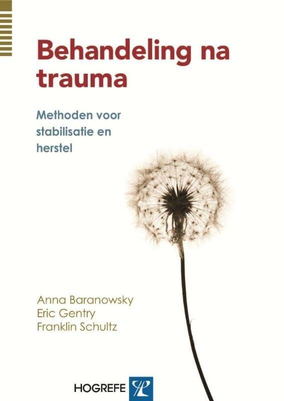 Behandel na trauma: methoden voor stabilisatie en herstel book