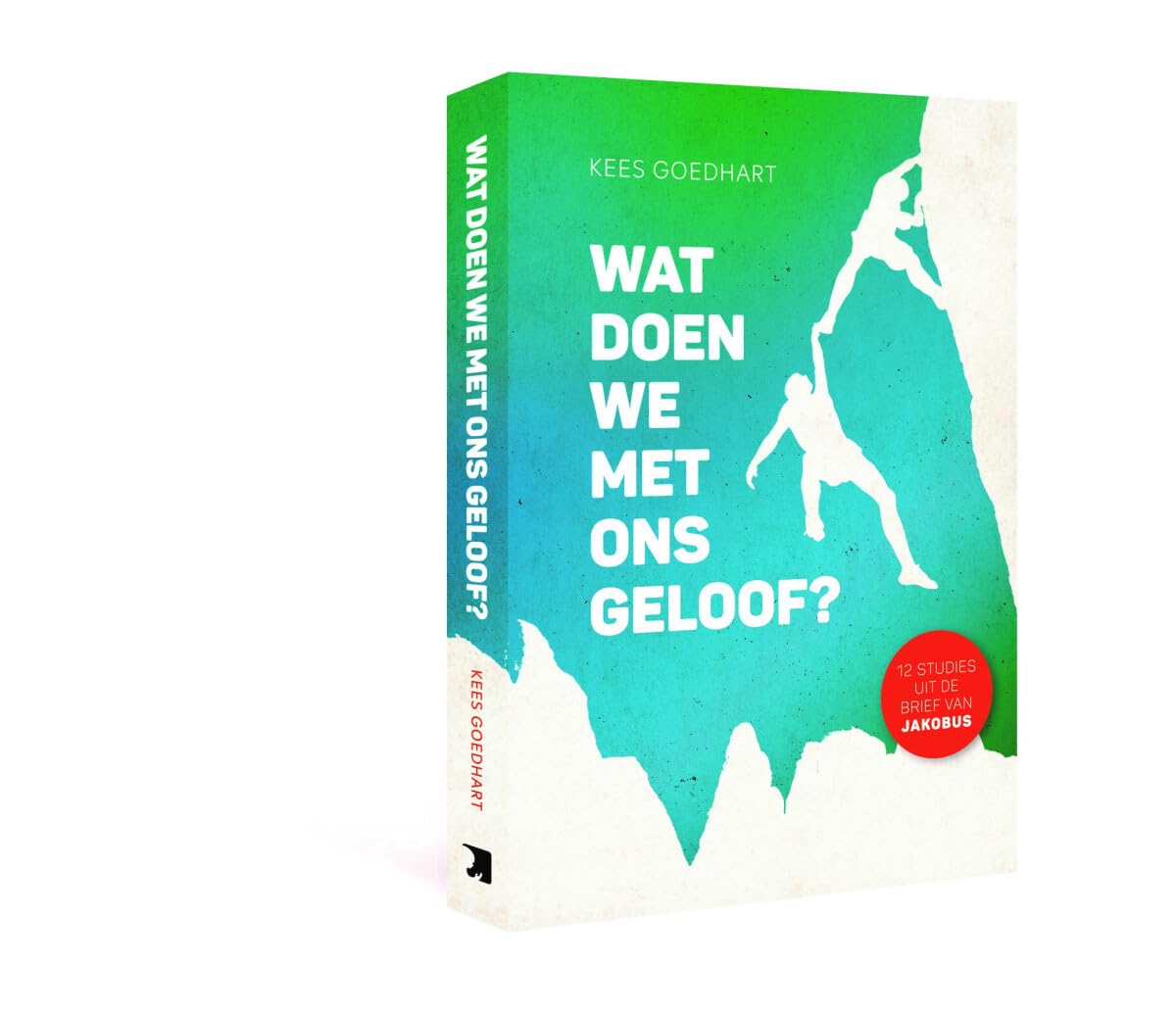 Wat doen we met ons geloof?: 12 studies uit de brief van Jakobus book