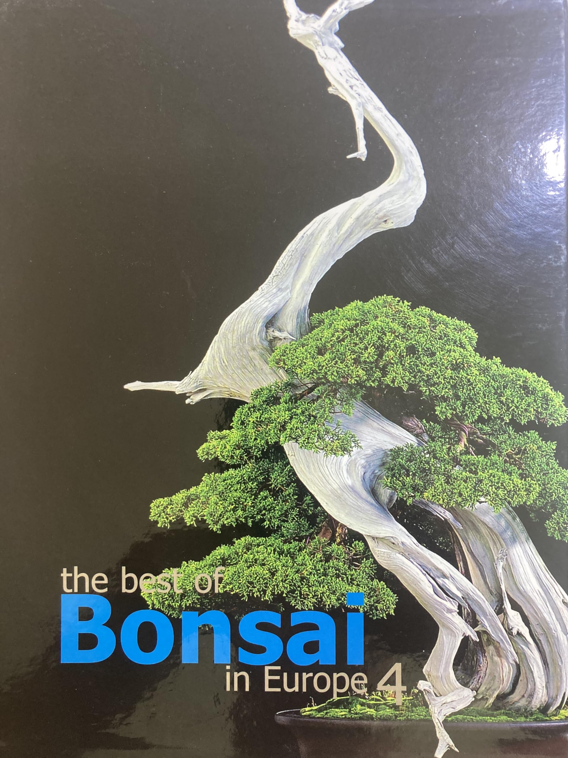 The Best of Bonsai in Europe Volume 4 (The Best of Bonsai in Europe, Volume 4) Books