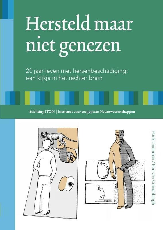 Hersteld maar niet genezen: 20 jaar leven met hersenbeschadiging : een kijkje in het rechter brein Medicine