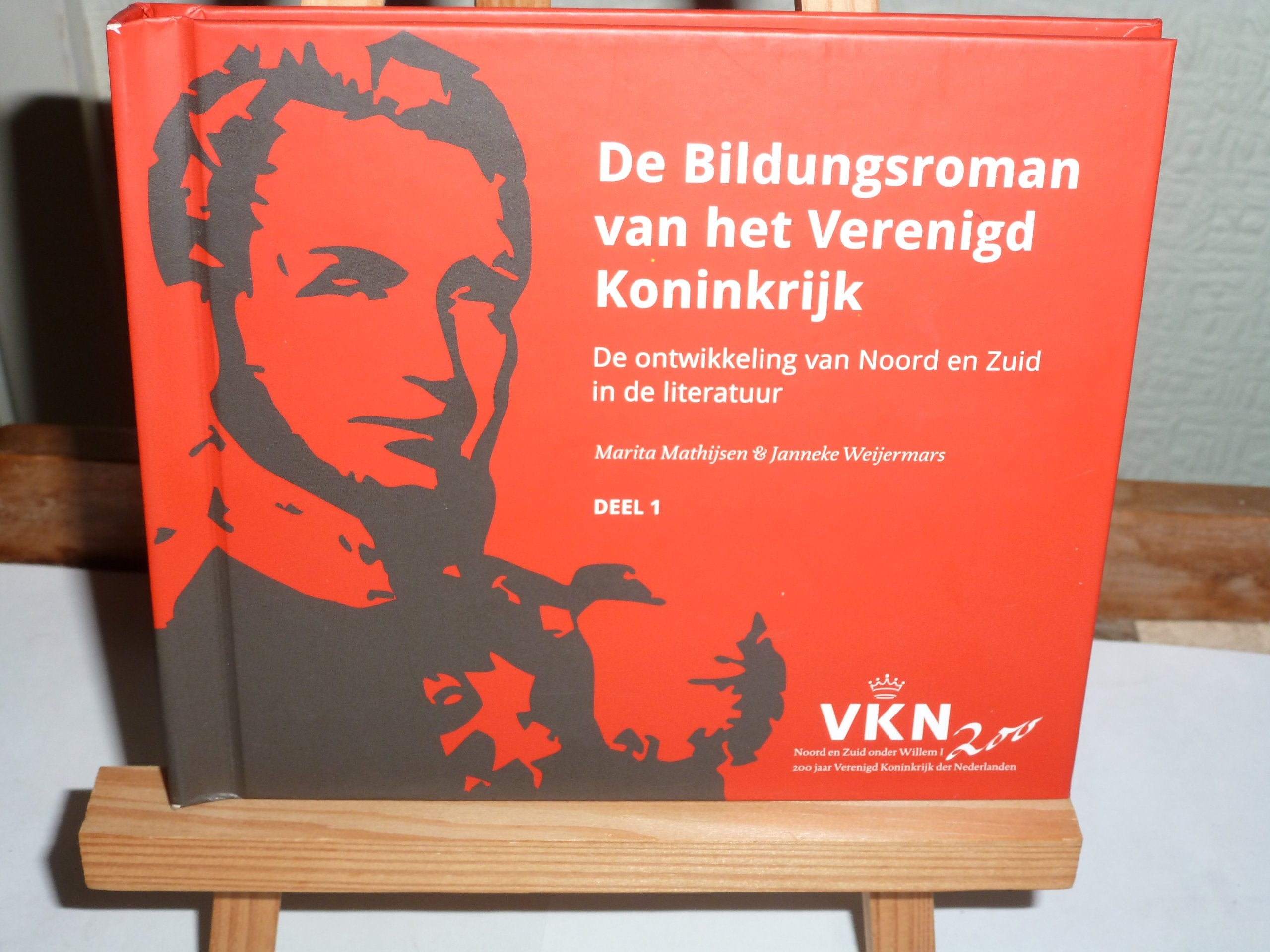 De Bildungsroman van het Verenigd Koninkrijk: de ontwikkeling van Noord en Zuid in de literatuur book