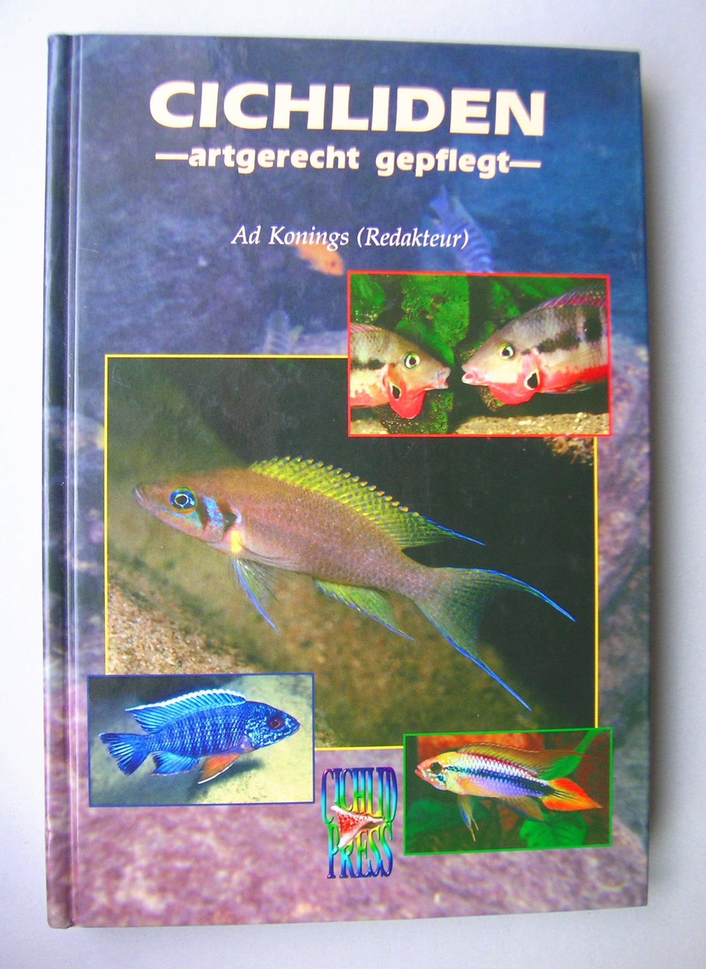Cichliden - artgerecht gepflegt - Pets