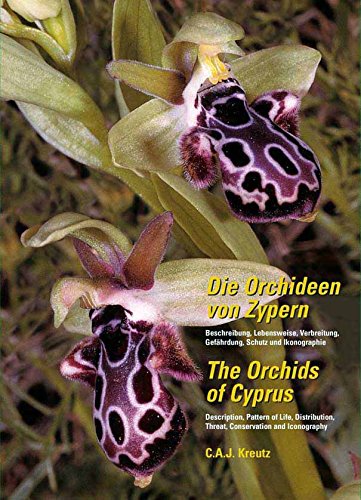 Die Orchideen von Zypern /The Orchids of Cyprus Mathematics