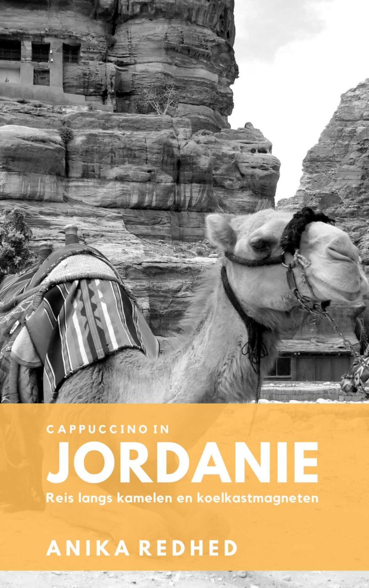 Cappuccino in Jordanie: Reis langs kamelen en koelkastmagneten book