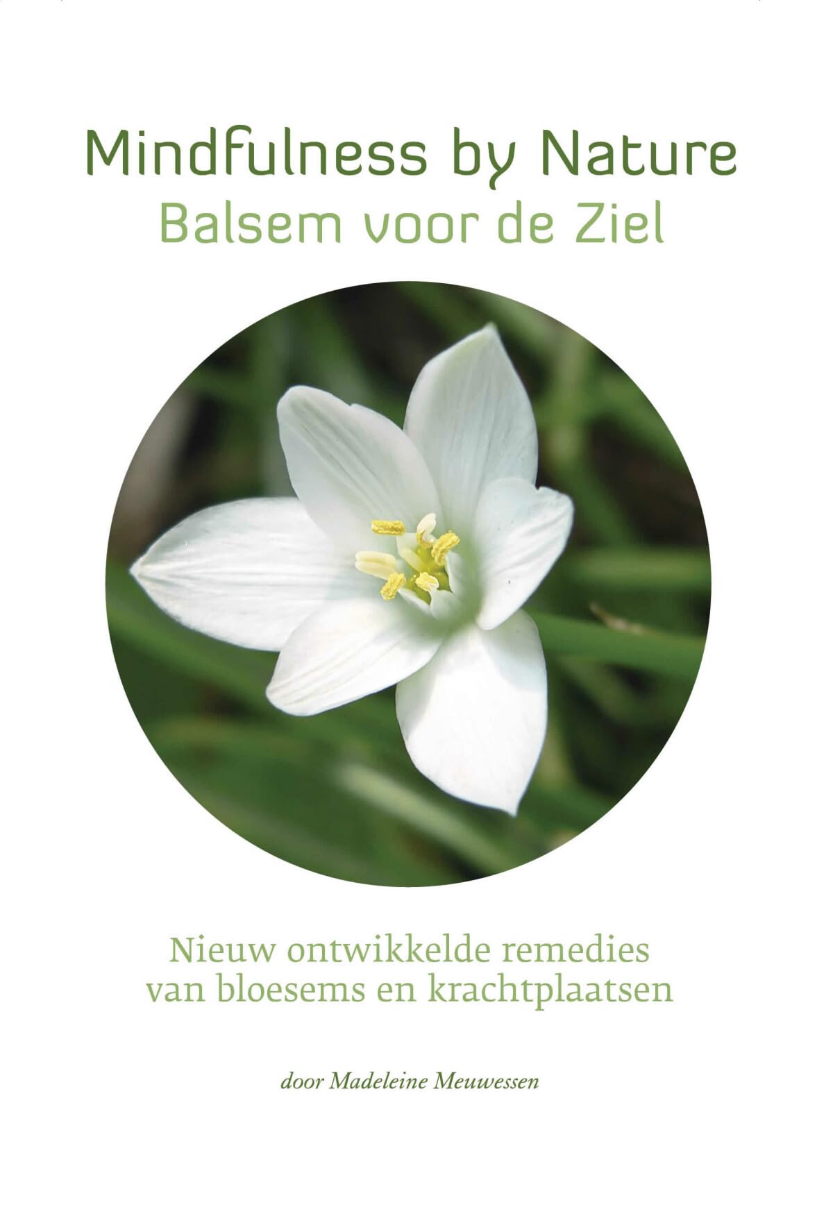 Star Remedies - Mindfulness by Nature - Balsem voor de Ziel: bloesem remedies voor de nieuwe tijd gemaakt door Madeleine Meuwessen book