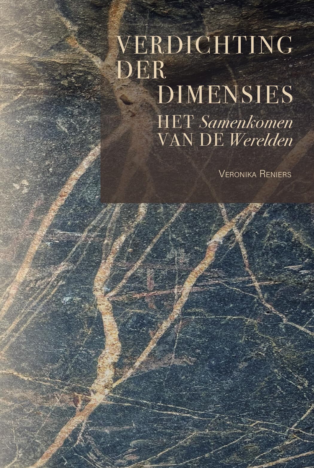 Verdichting der dimensies: het samenkomen van de werelden book