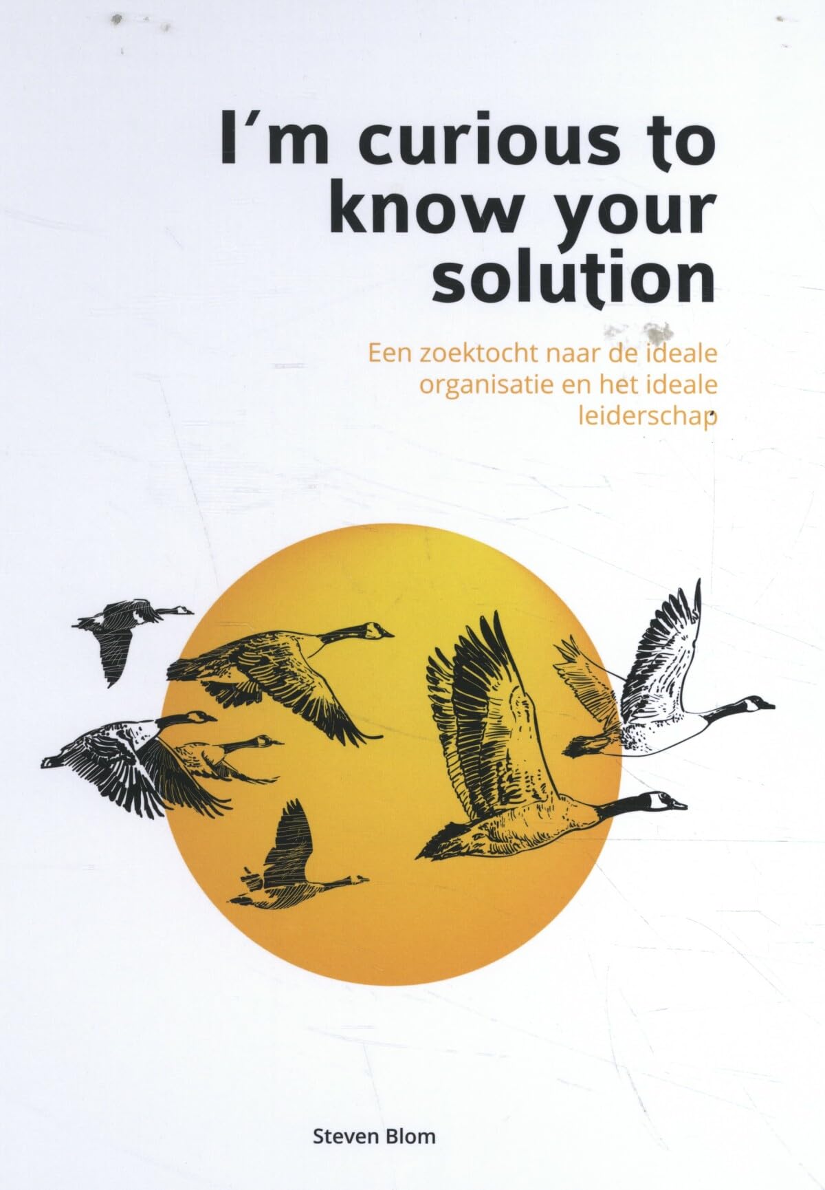 I'm curious to know your solution: Een zoektocht naar de ideale organisatie en het ideaal leiderschap book