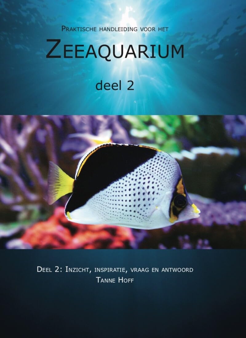 2: Inzicht, inspiratie, vraag en antwoord book