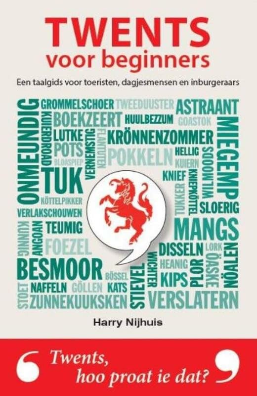 Twents voor beginners: een taalgids voor toeristen, dagjesmensen en inburgeraars book