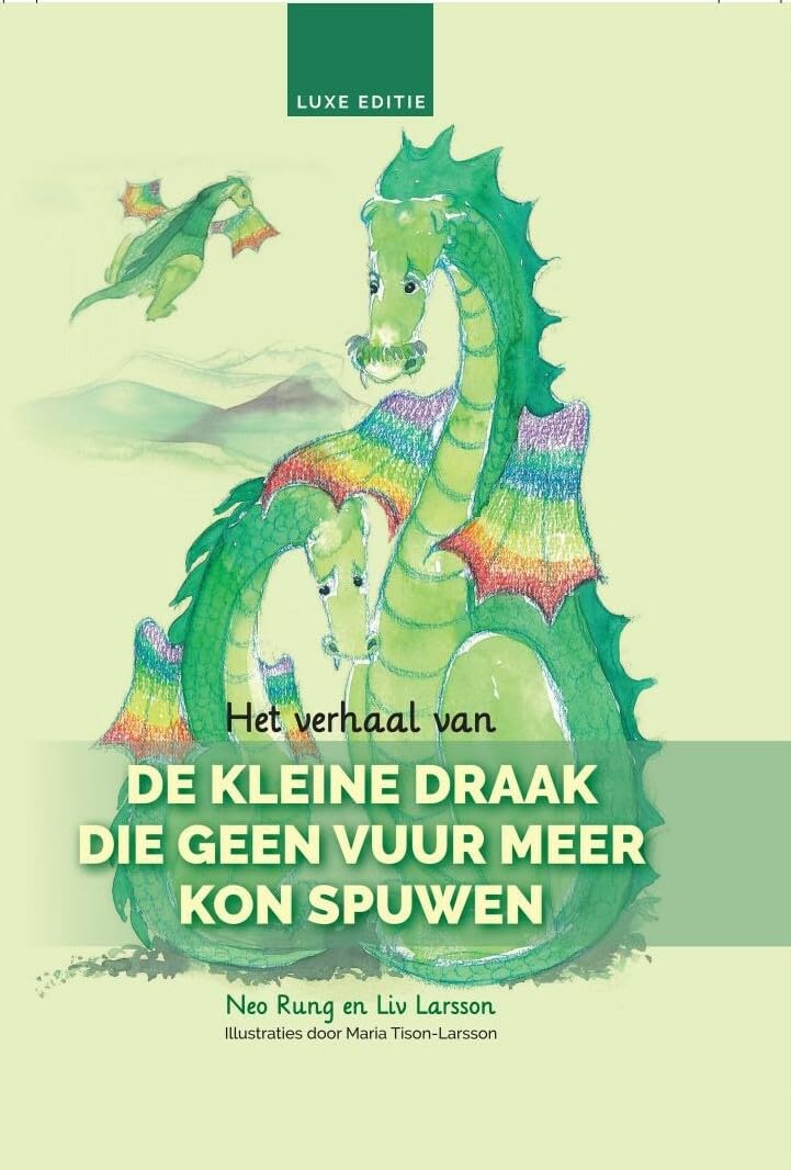 Het verhaal van de kleine draak die geen vuur meer kon spuwen book
