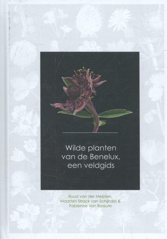 Wilde planten van de Benelux, een veldgids book