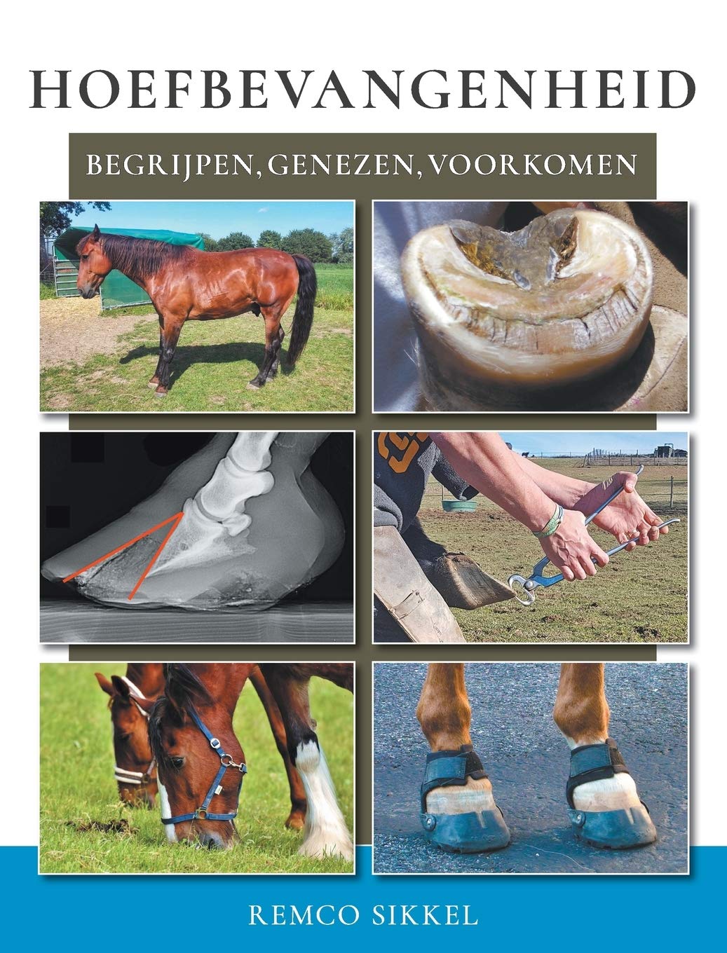 Hoefbevangenheid: begriipen, genezen, voorkomen book