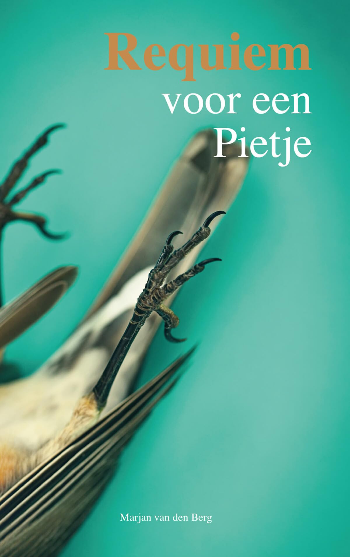 Requiem voor een Pietje Essays & Short Stories