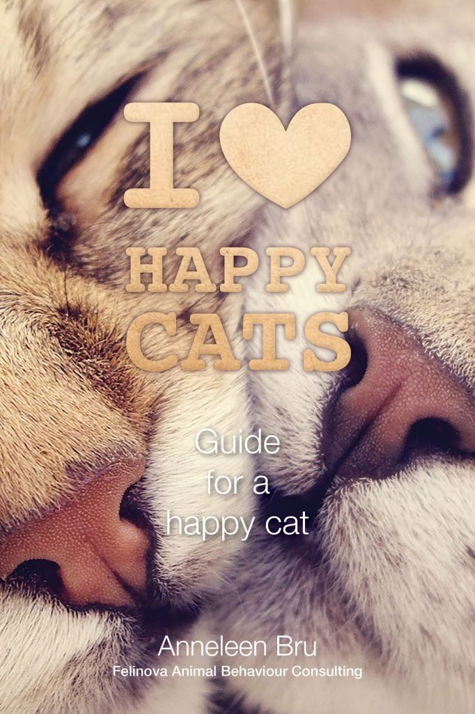 I love happy cats - Guide for a happy Cat Pets