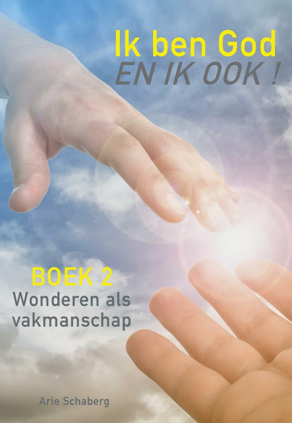 2 Wonderen verichten als vakmanschap book