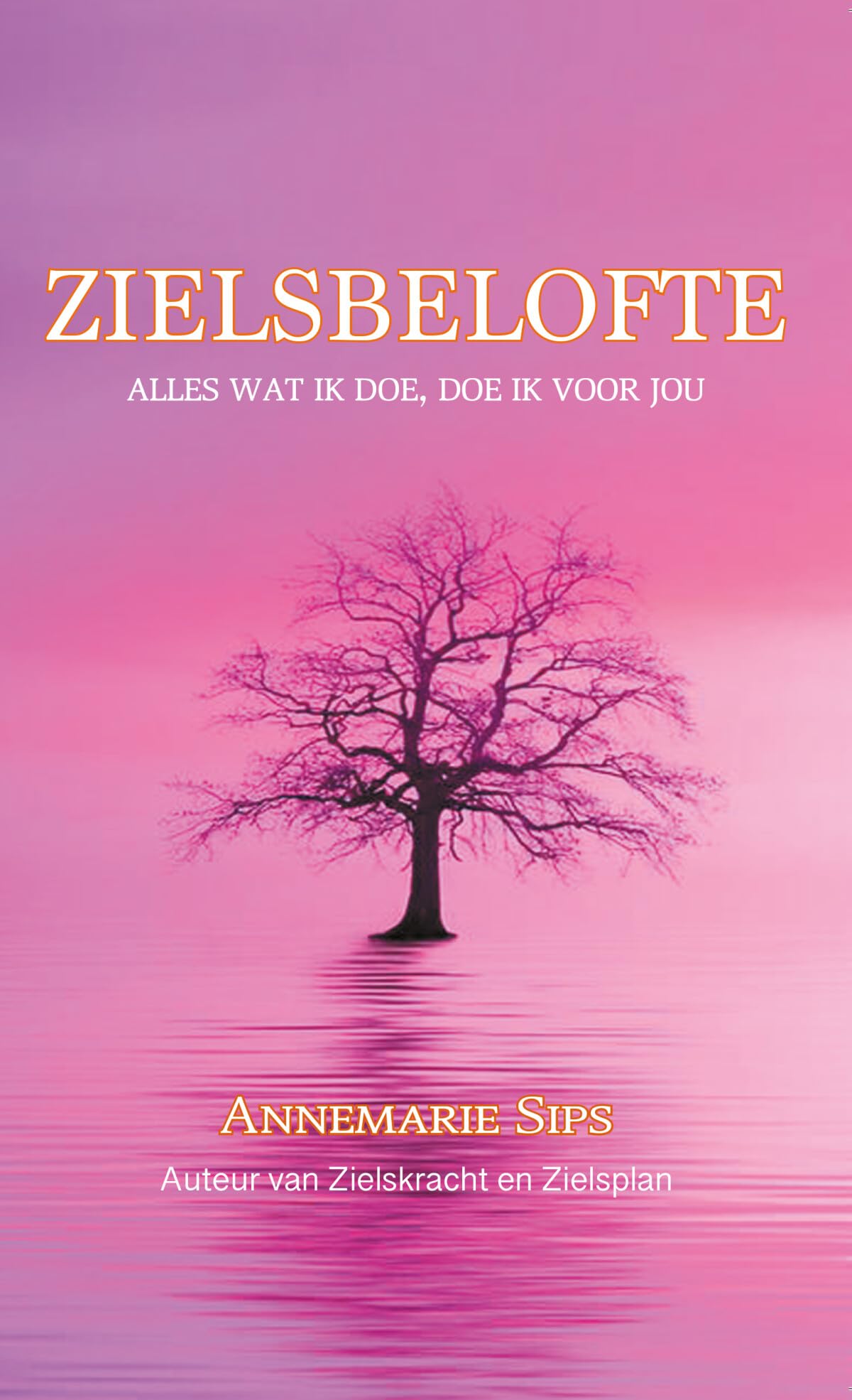 Zielsbelofte: Alles wat ik doe, doe ik voor jou book