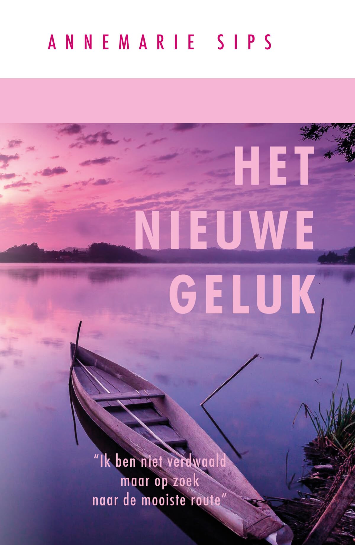 Het nieuwe geluk: Ik ben niet verdwaald maar op zoek naar de mooiste route Non-fiction