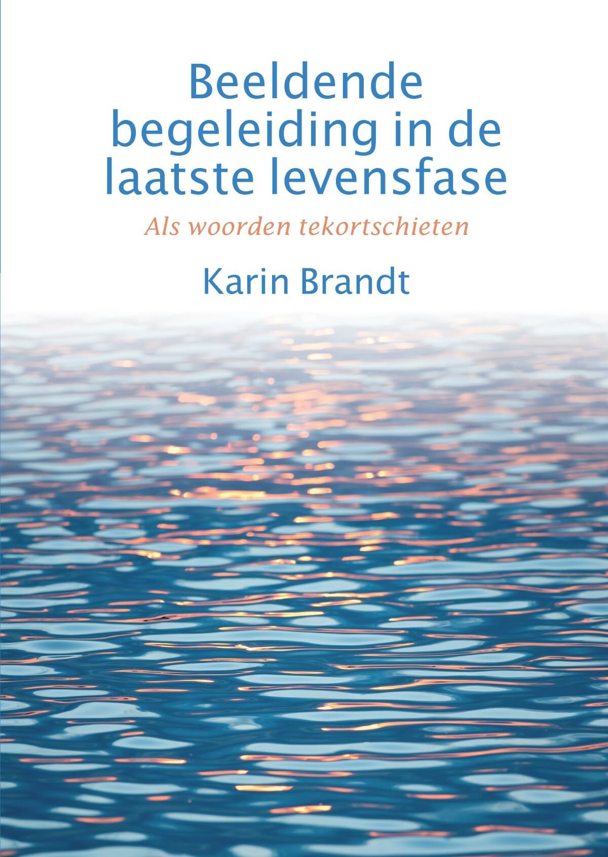 Beeldende begeleiding in de laatste levensfase: Als woorden tekortschieten book