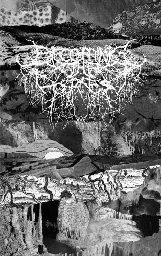 Becoming the Forest V: Traversing the subterranean passages of the caverns of black metal (Becoming The Forest, 5) Books