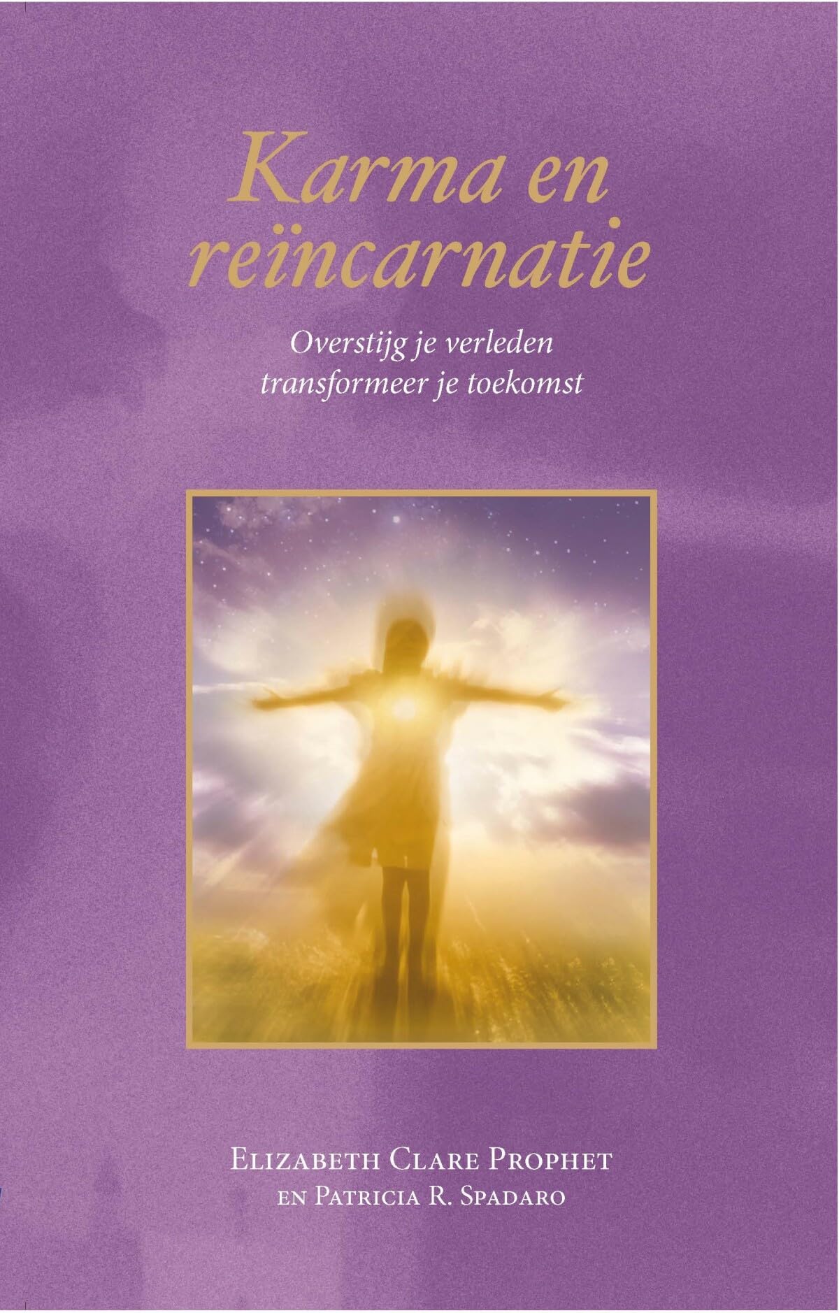 Karma en reïncarnatie: overstijg je verleden, transformeer je toekomst book