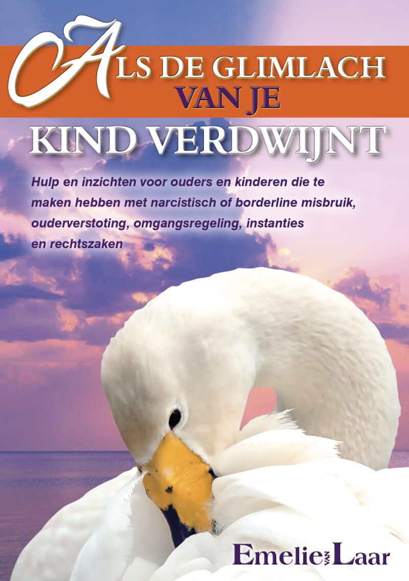 Als de glimlach van je kind verdwijnt: Hulp en inzichten voor ouders en kinderen die te maken hebben met narcistische of borderline misbruik, ... omgangsregeling, instanties en rechtszaken book