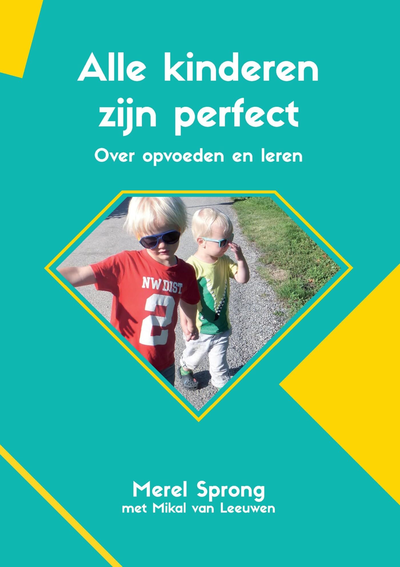 Alle kinderen zijn perfect: over opvoeden en leren book